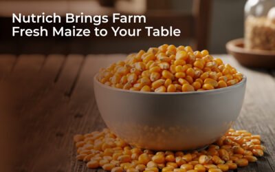 From Soil to Spoon: Discover How Nutrich Brings You the Finest Maize & Maize Products